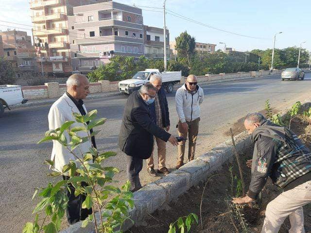 زراعة ١٠٠ شجرة مثمرة بمركز ابوقرقاص بالمنيا، واستمرار حملات النظافة والتجميل … متابعة : حسن الجلاد