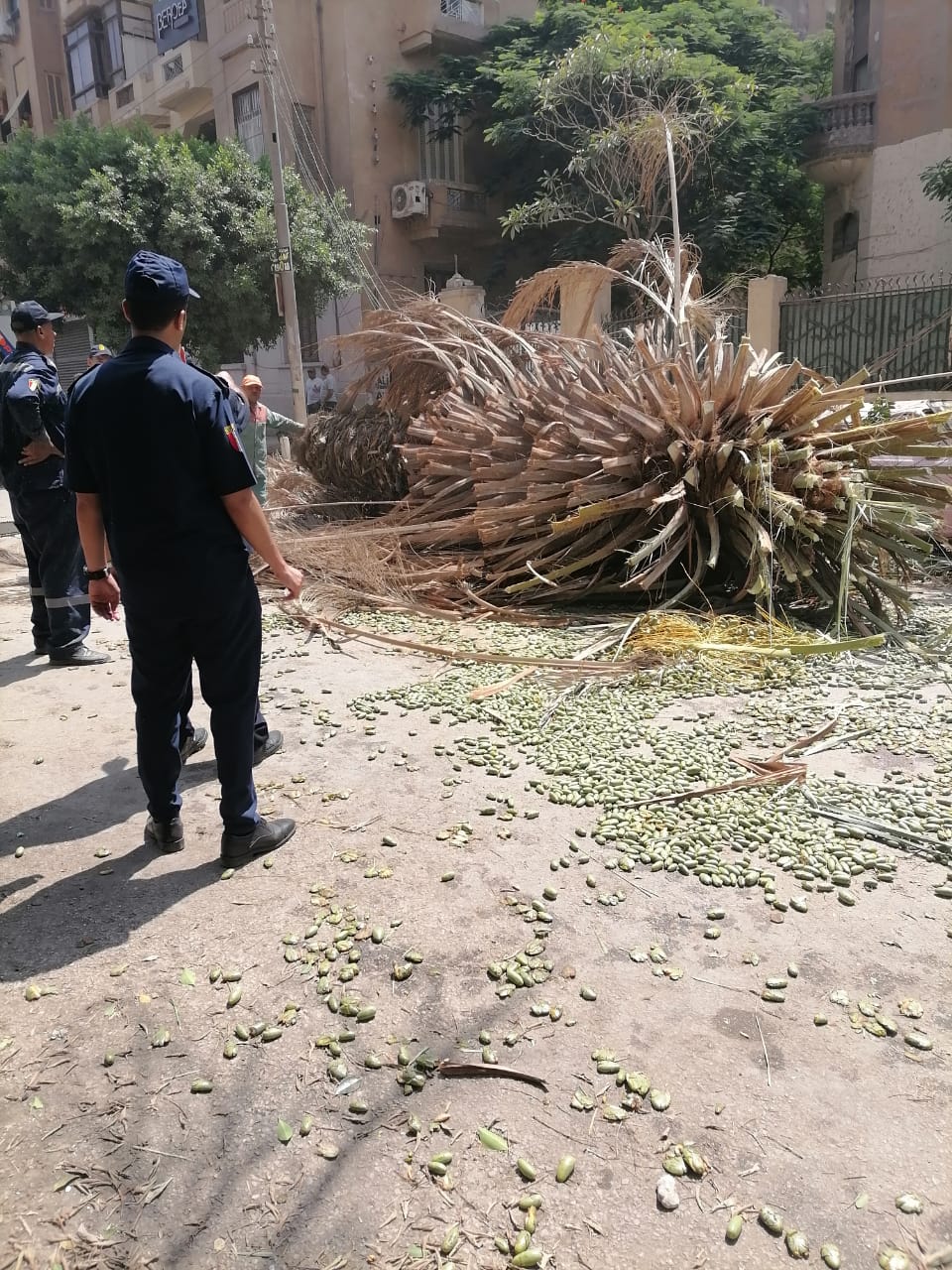 مستقبل وطن المنتزه ينجح في حل مشكلة شارع شفيق غربال بروكسي